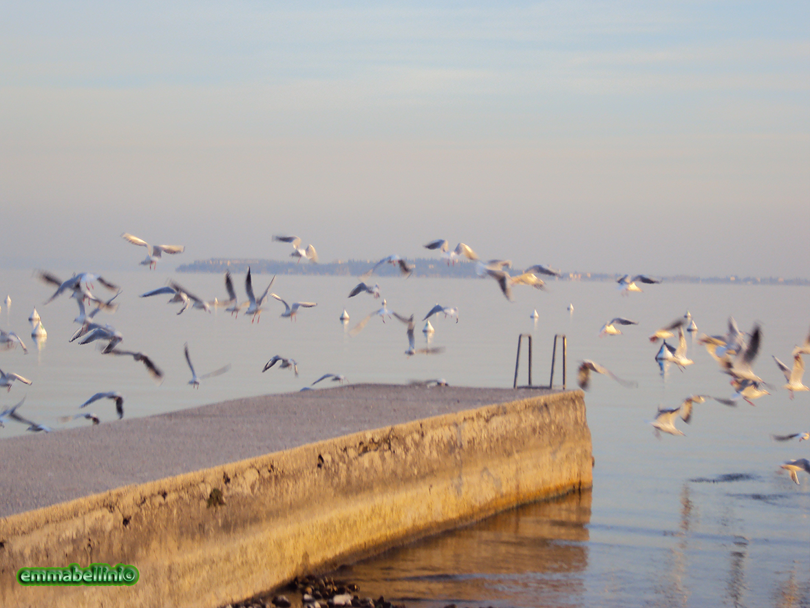 lagogarda02