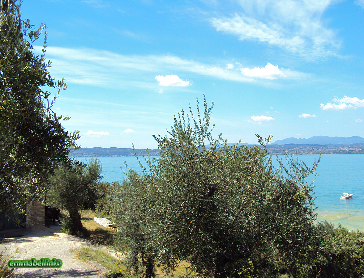 lagogarda05