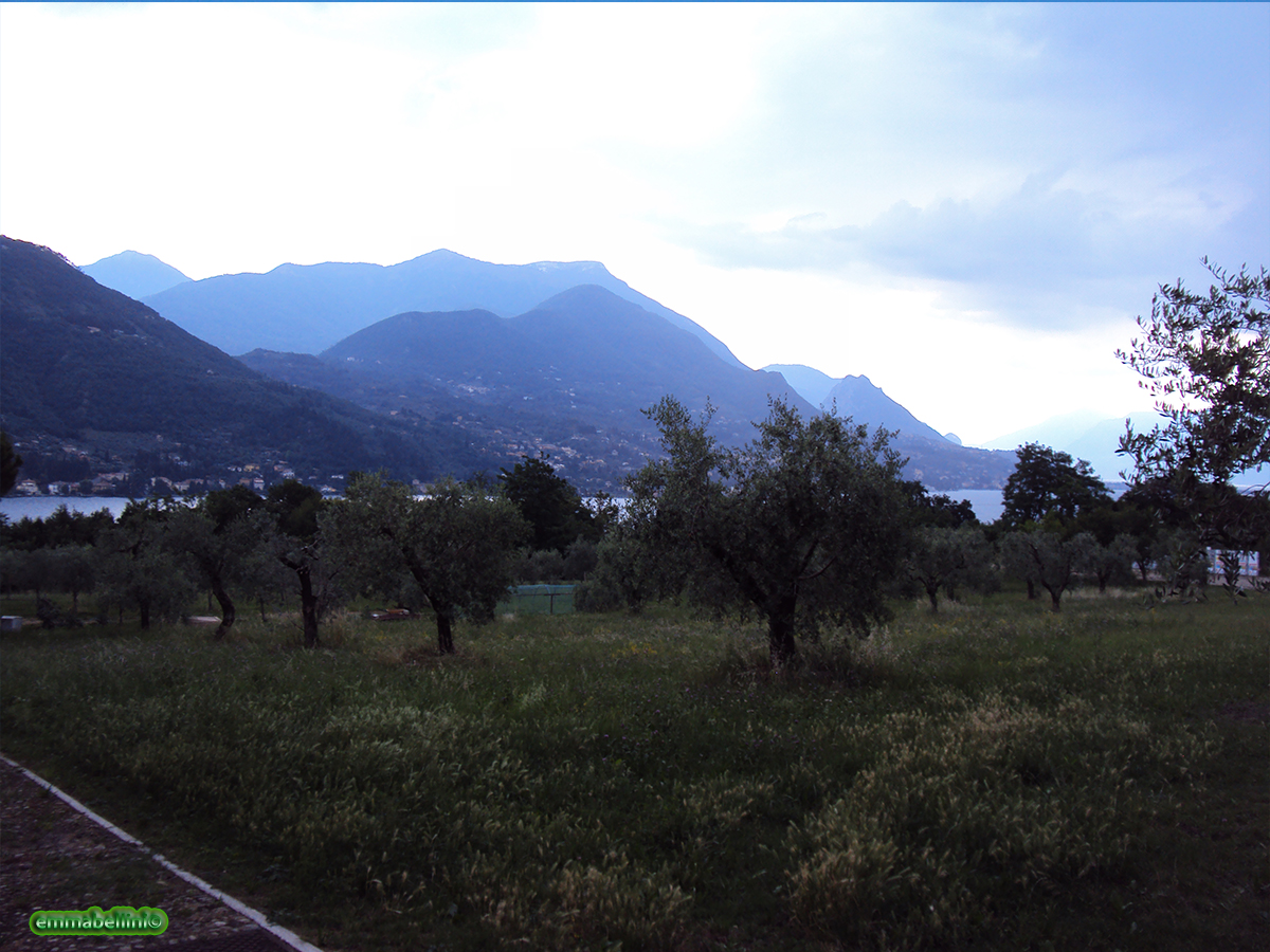 lagogarda08