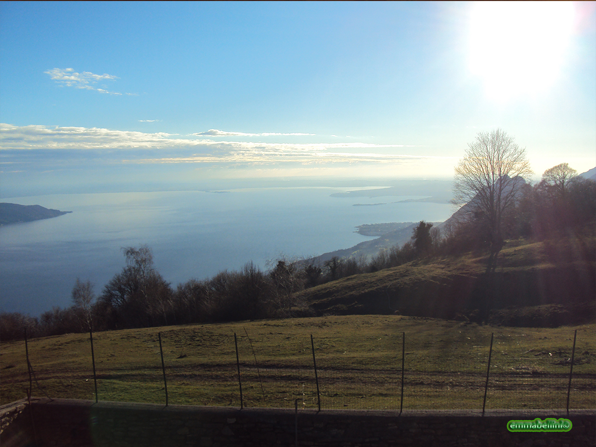 lagogarda15