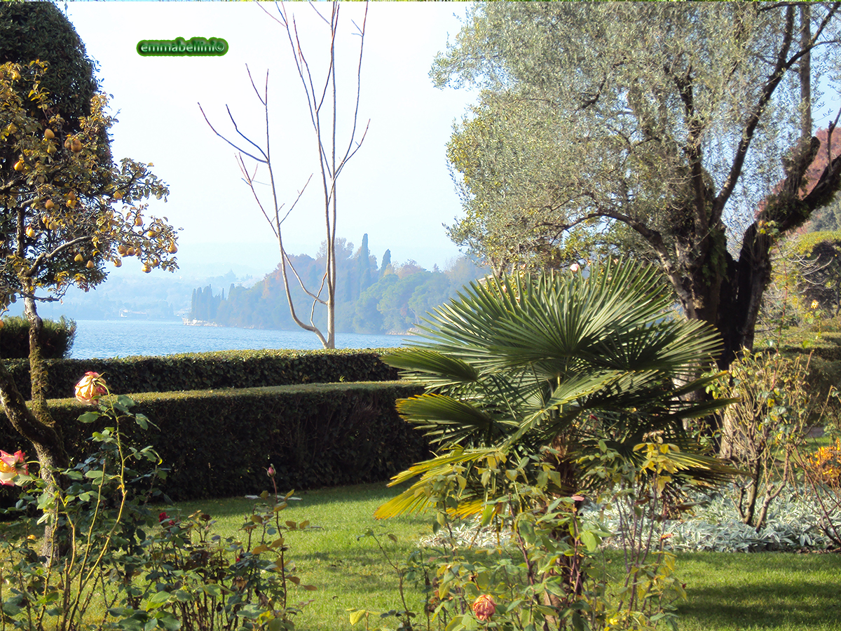 lagogarda18