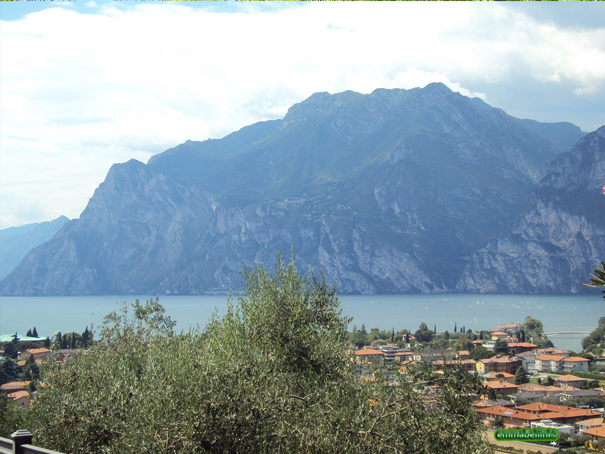 lagogarda20